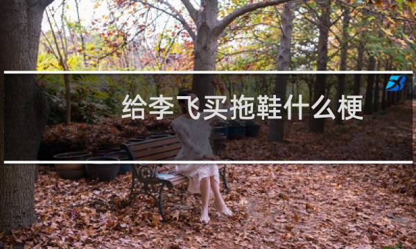 给李飞买拖鞋什么梗