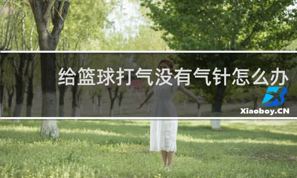 给篮球打气没有气针怎么办