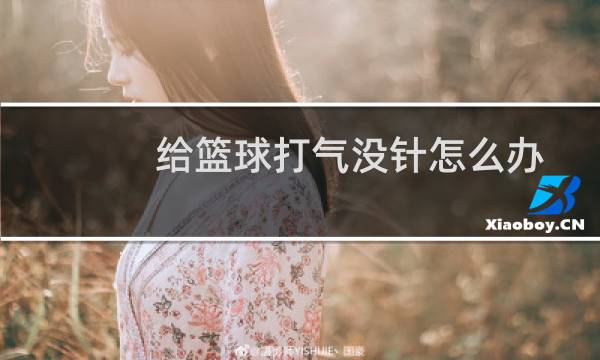 给篮球打气没针怎么办