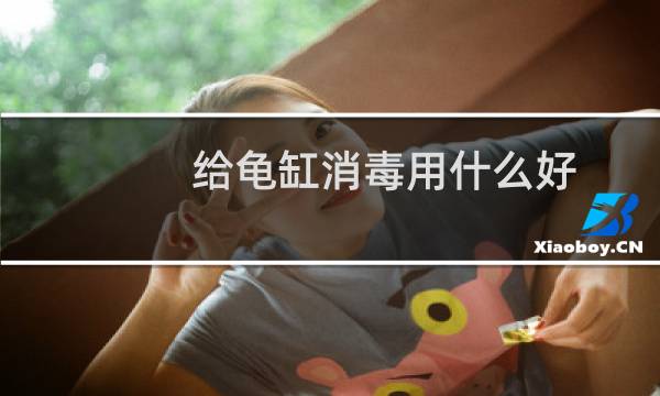 给龟缸消毒用什么好图片