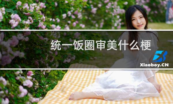 统一饭圈审美什么梗