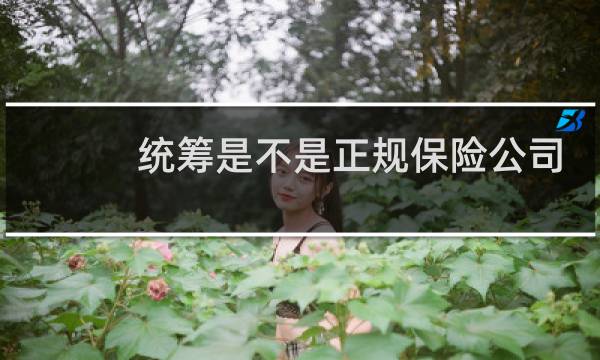 统筹是不是正规保险公司