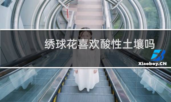 绣球花喜欢酸性土壤吗
