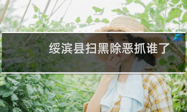 绥滨县扫黑除恶抓谁了
