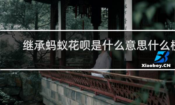 继承蚂蚁花呗是什么意思什么梗