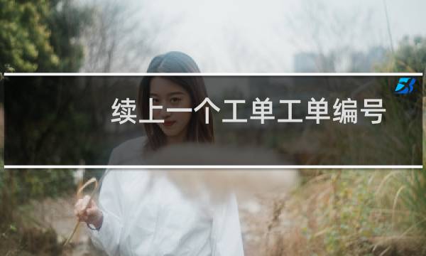 续上一个工单工单编号：
