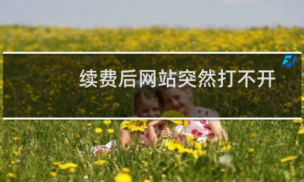 续费后网站突然打不开my.xindianxun.com