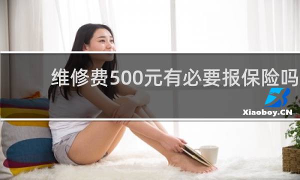 维修费500元有必要报保险吗
