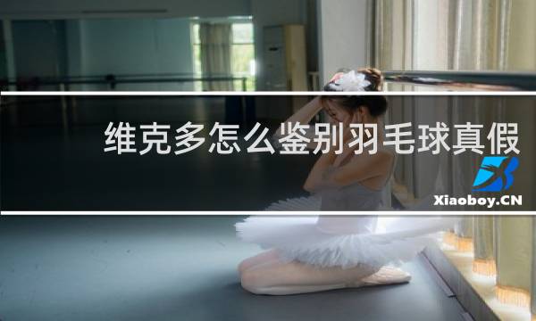 维克多怎么鉴别羽毛球真假