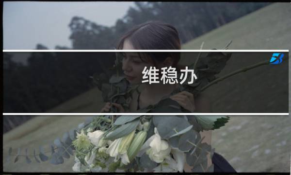 维稳办