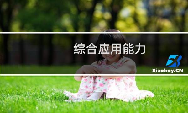 综合应用能力图片