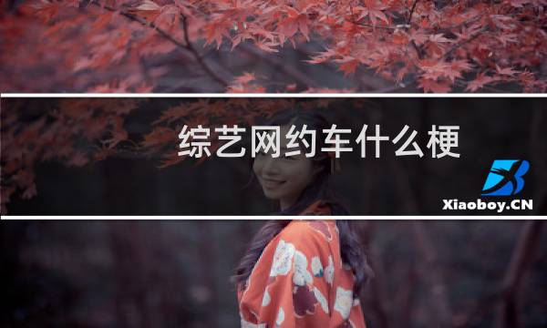 综艺网约车什么梗