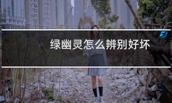 绿幽灵怎么辨别好坏