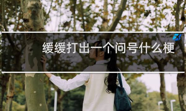 缓缓打出一个问号什么梗