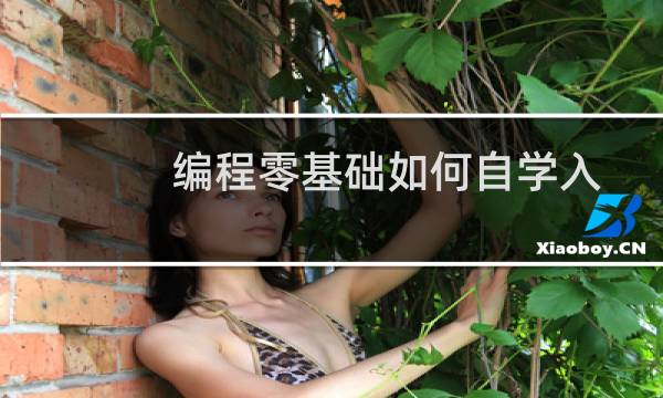 编程零基础如何自学入门？