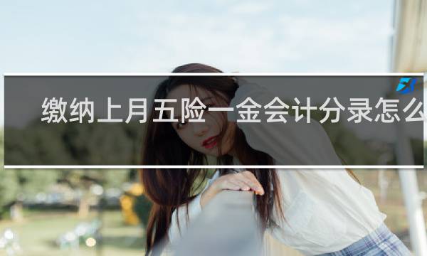 缴纳上月五险一金会计分录怎么做