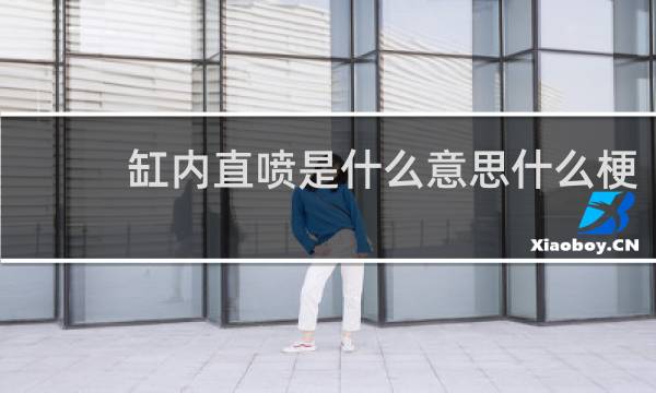 缸内直喷是什么意思什么梗