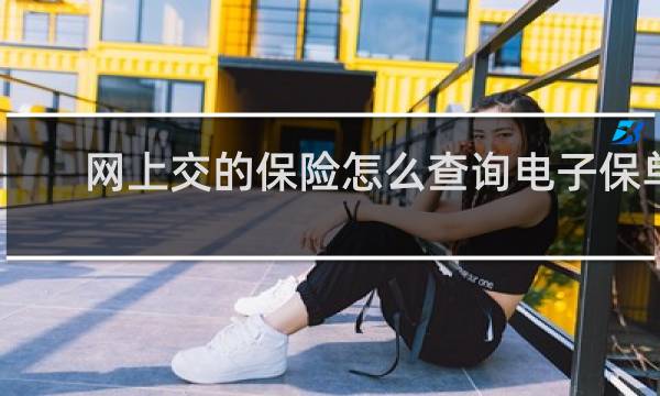 网上交的保险怎么查询电子保单图片