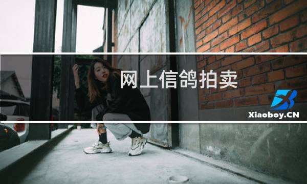 网上信鸽拍卖