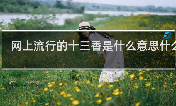 网上流行的十三香是什么意思什么梗