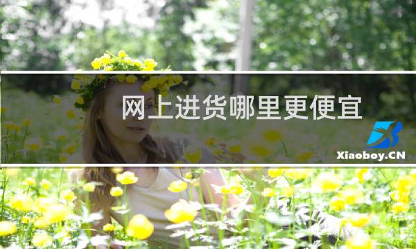 网上进货哪里更便宜(网上进货哪里最便宜)