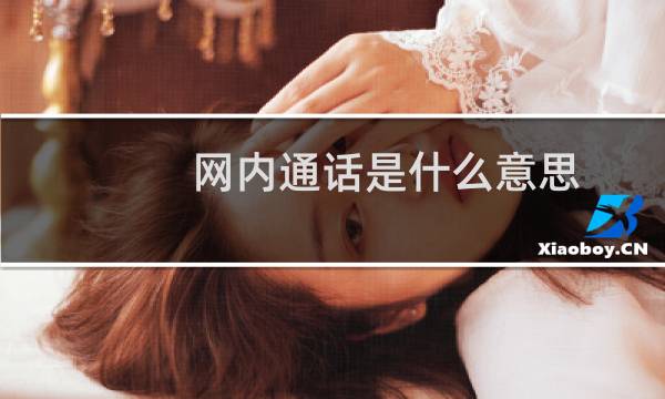 网内通话是什么意思