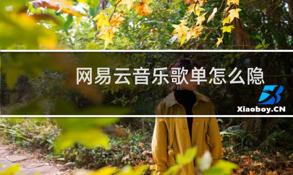 网易云音乐歌单怎么隐藏