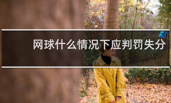 网球什么情况下应判罚失分