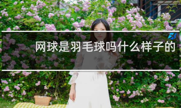 网球是羽毛球吗什么样子的