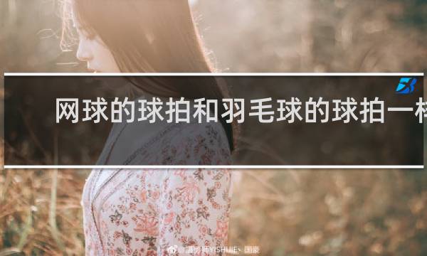 网球的球拍和羽毛球的球拍一样吗