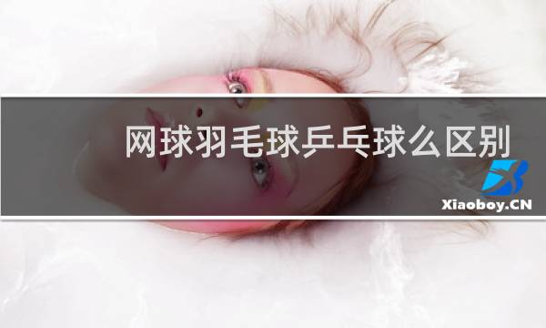 网球羽毛球乒乓球么区别
