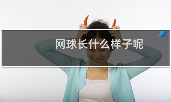 网球长什么样子呢