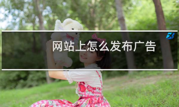 网站上怎么发布广告