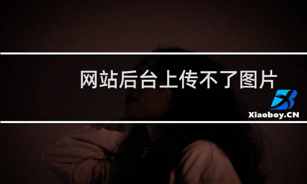 网站后台上传不了图片了怎么办