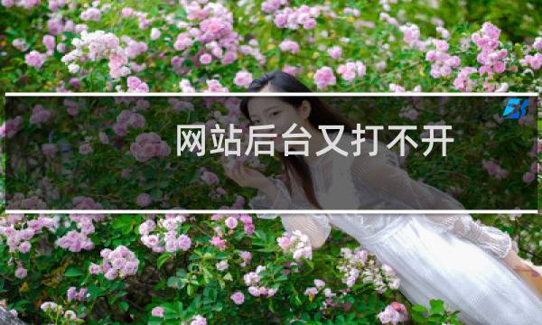 网站后台又打不开 是怎么回事？