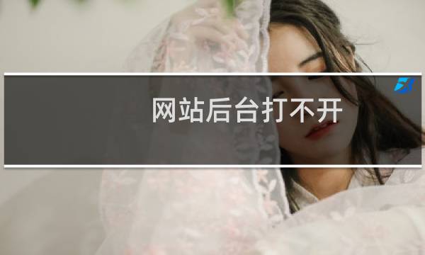 网站后台打不开,回馈数据库问题