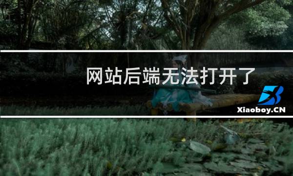 网站后端无法打开了 说的是数据库连接有问题