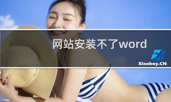网站安装不了wordpress