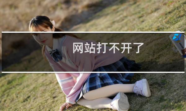 网站打不开了，请帮忙排查一下
