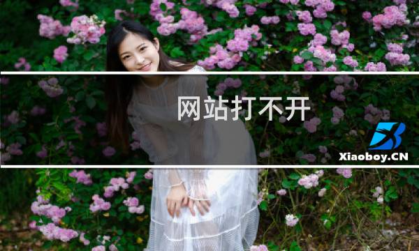 网站打不开，加载非常缓慢