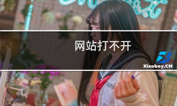 网站打不开,提示连接已重置