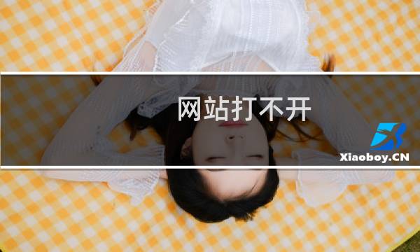 网站打不开，蜘蛛抓取不到