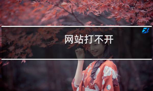 网站打不开,请帮我查明情况