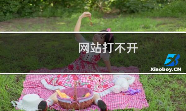 网站打不开 出现502错误