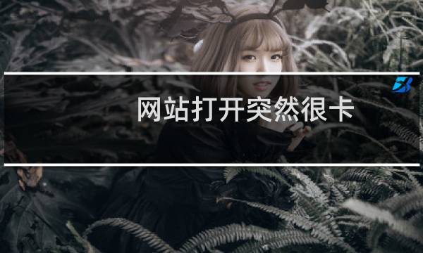网站打开突然很卡  是不是空间不稳定了  https:www