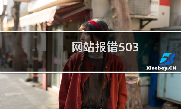 网站报错503，帮忙排查