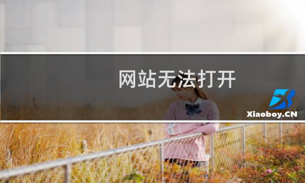 网站无法打开 提示MY004超时
