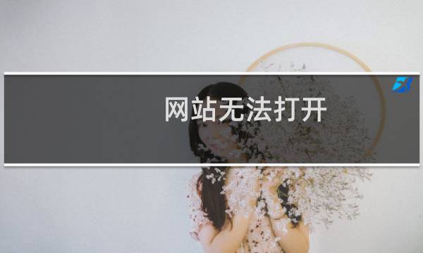 网站无法打开  服务器重新启动了也不行