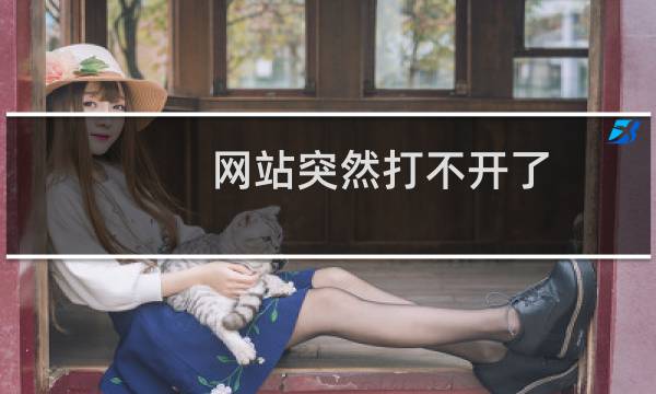 网站突然打不开了,但本服务器的其他网站可以打开,一直没有动过