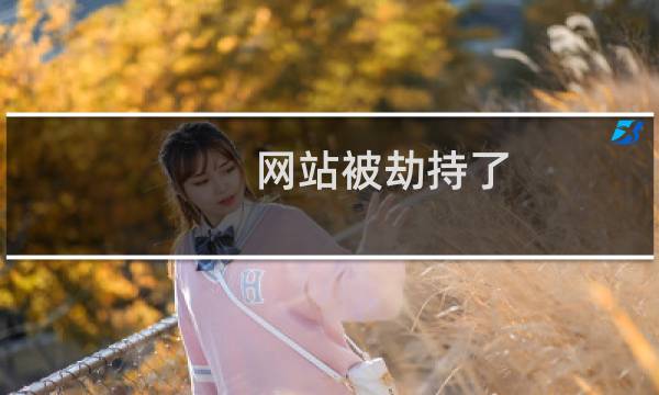 网站被劫持了，看看哪里的事给处理一下